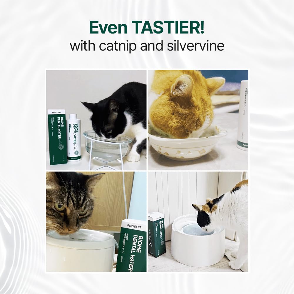 Dental Water Additive for Cats 8.45 fl oz C6314