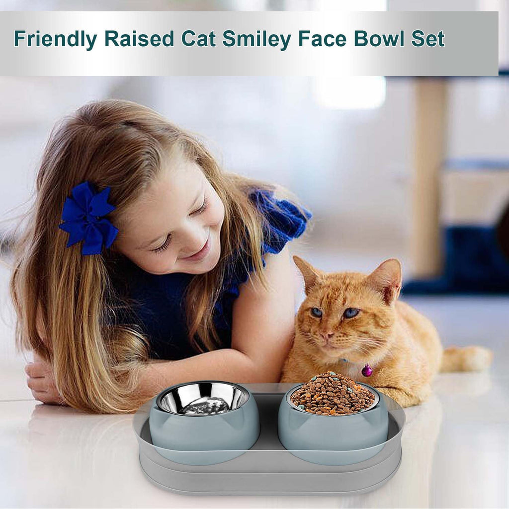 Tilted Stainless Steel Cat Food and Water Bowl Set F21432