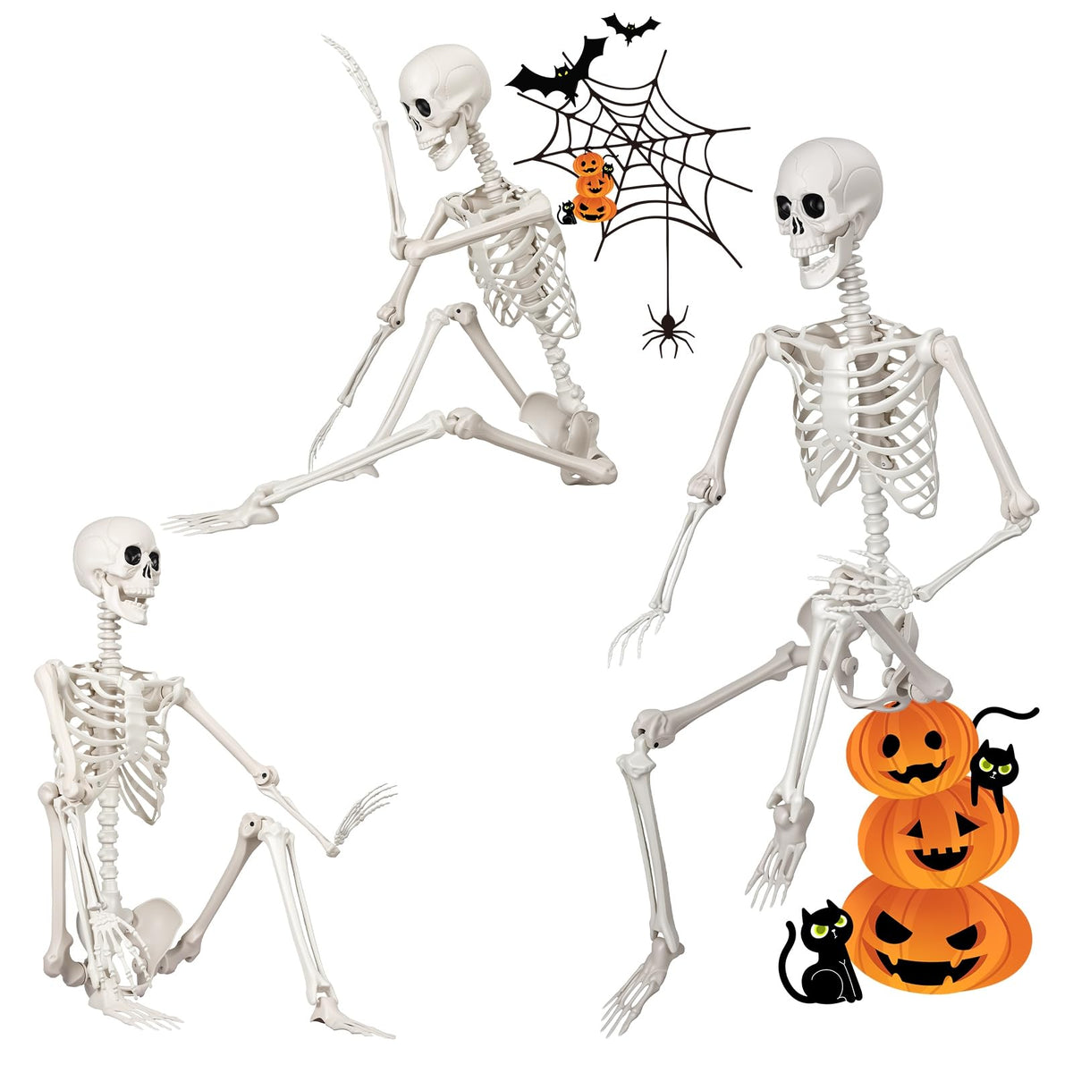5.4FT Plastic Full Body Skeleton with Movable Joints G2627