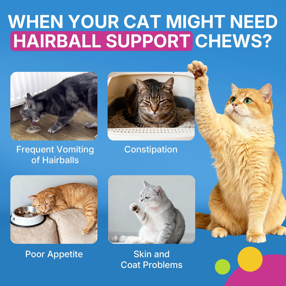 Cat Hairball Support Chews 500 Chews C112