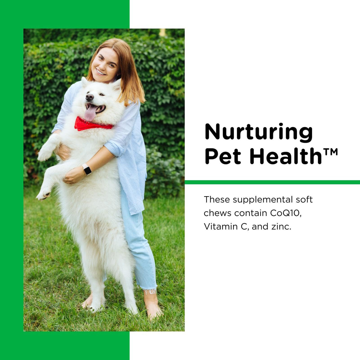 Dogs Teeth Cleaning Soft Chews 70 Count N615
