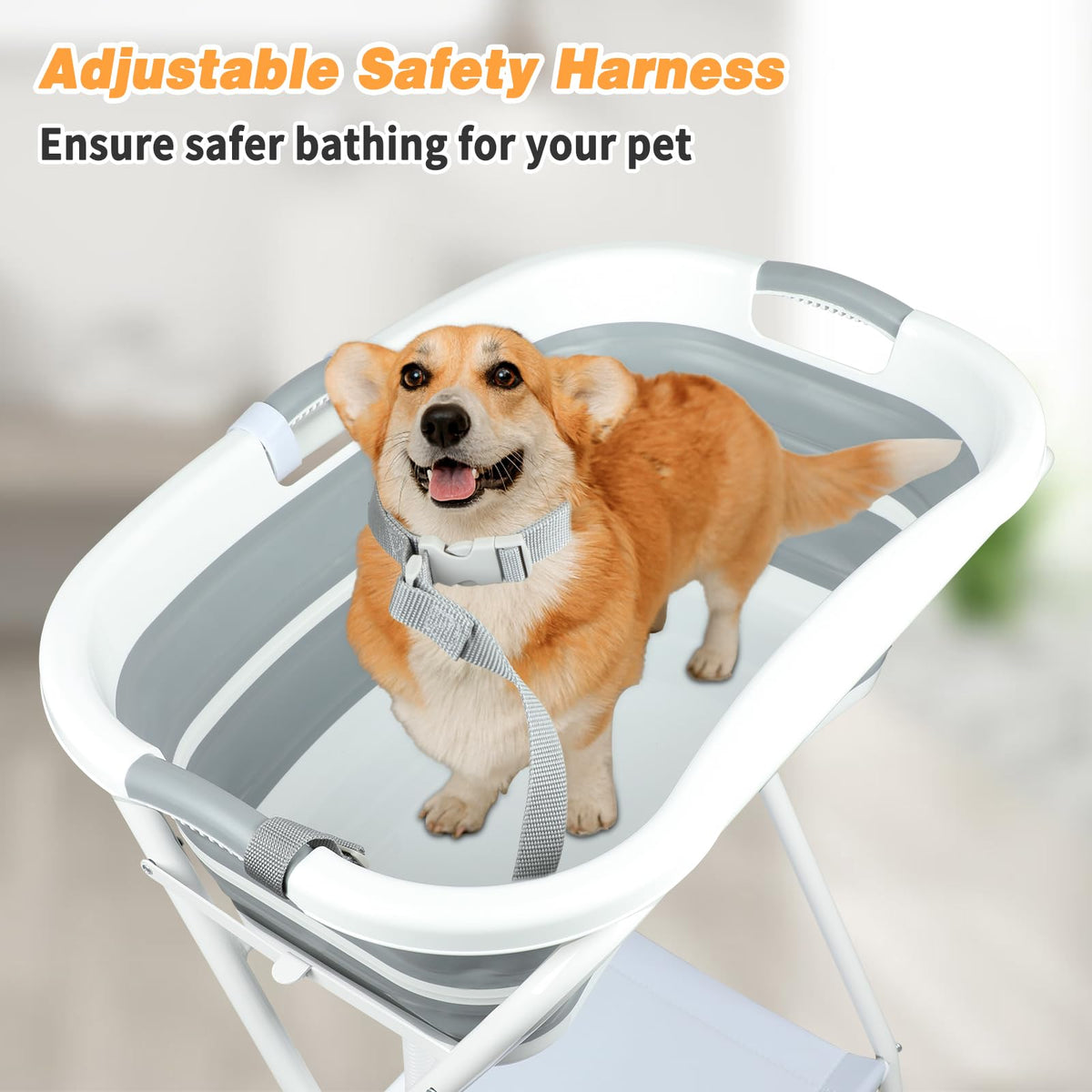 Portable Collapsible Dog Bathtub Y468671