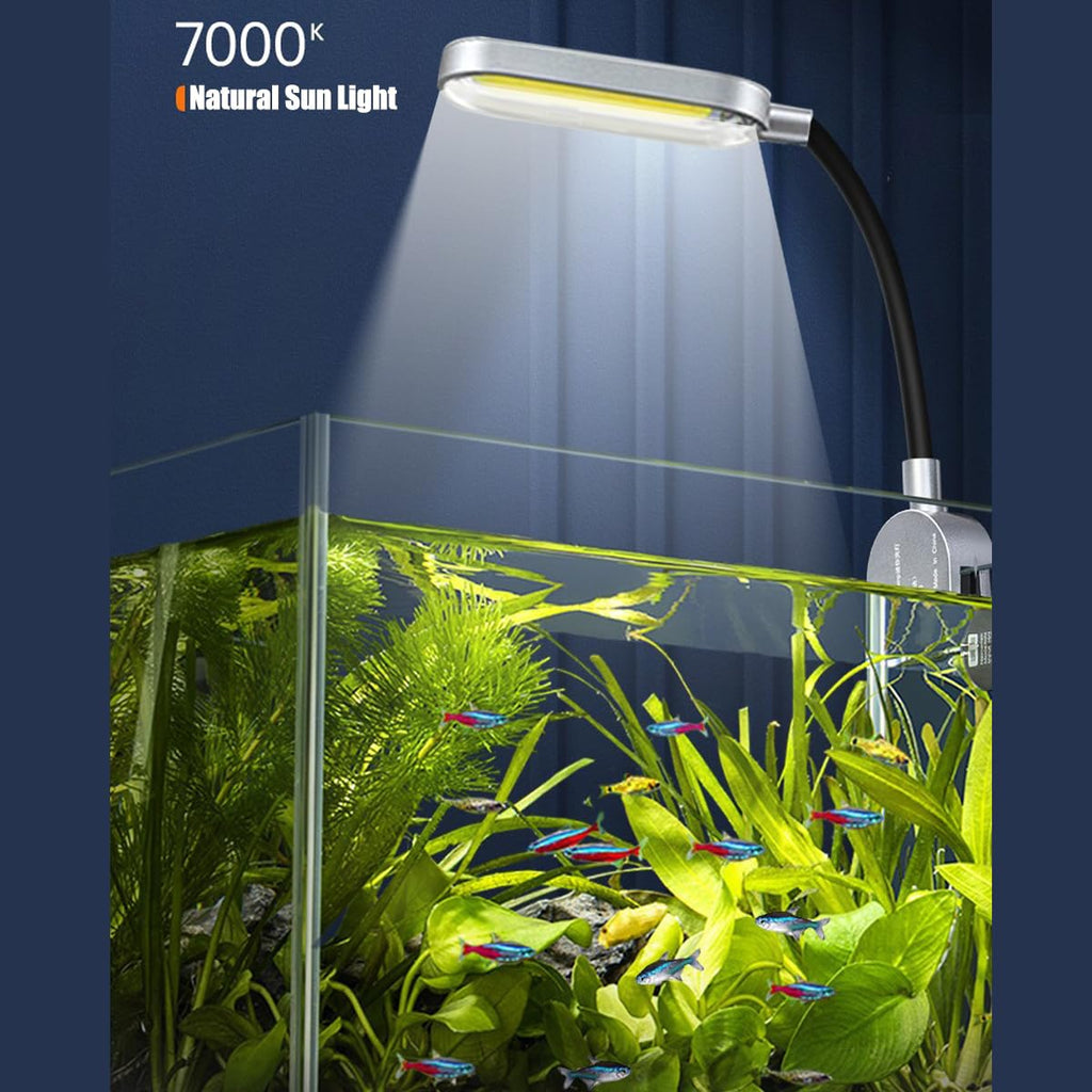 1.5 Gallon Glass Aquarium Starter Kit with Filter and LED Light O825381