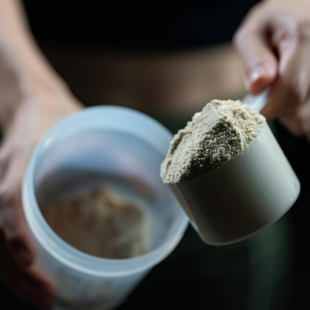 Vegan Protein Powder Vanilla K636