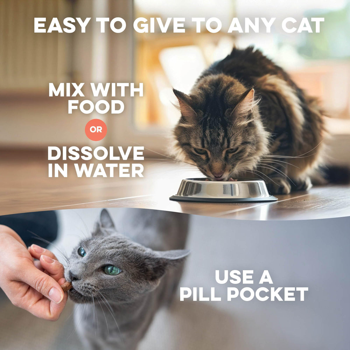 Mange Support for Cats 400 Pills F94032