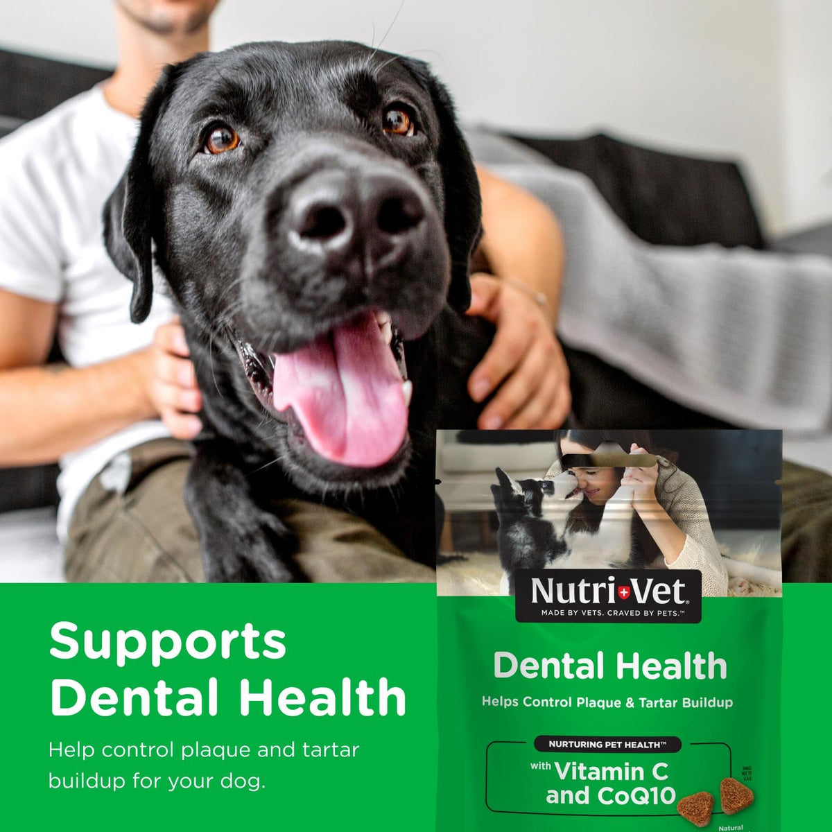 Dogs Teeth Cleaning Soft Chews 70 Count N615