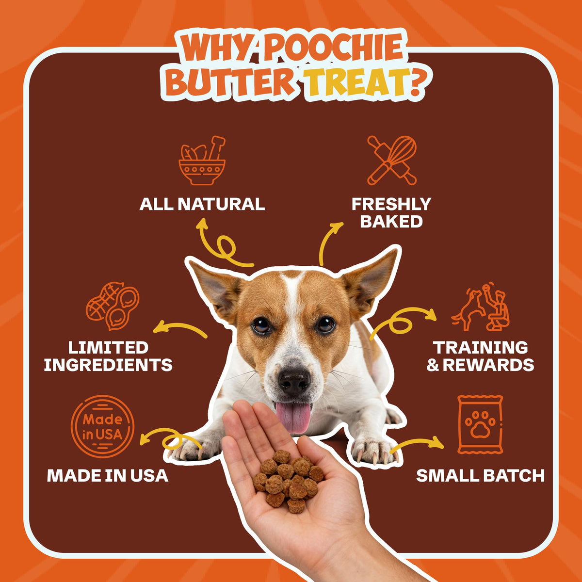 Soft & Chewy Pumpkin Dog Treats 8oz 2 Pack V364