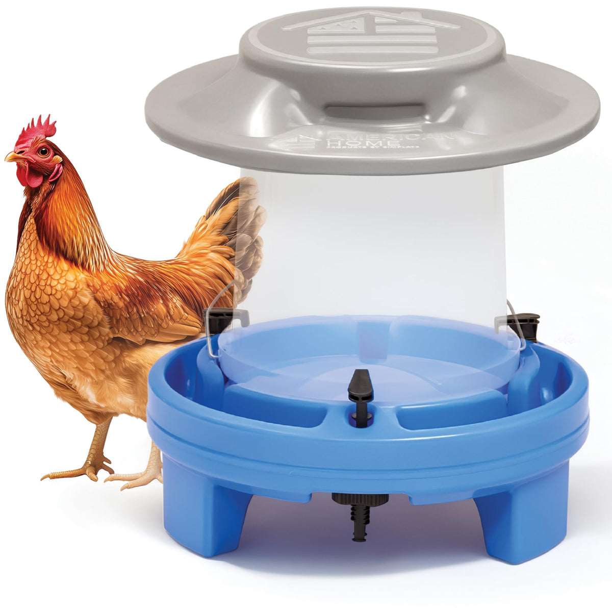 5 Gallon Chicken Waterer T5736