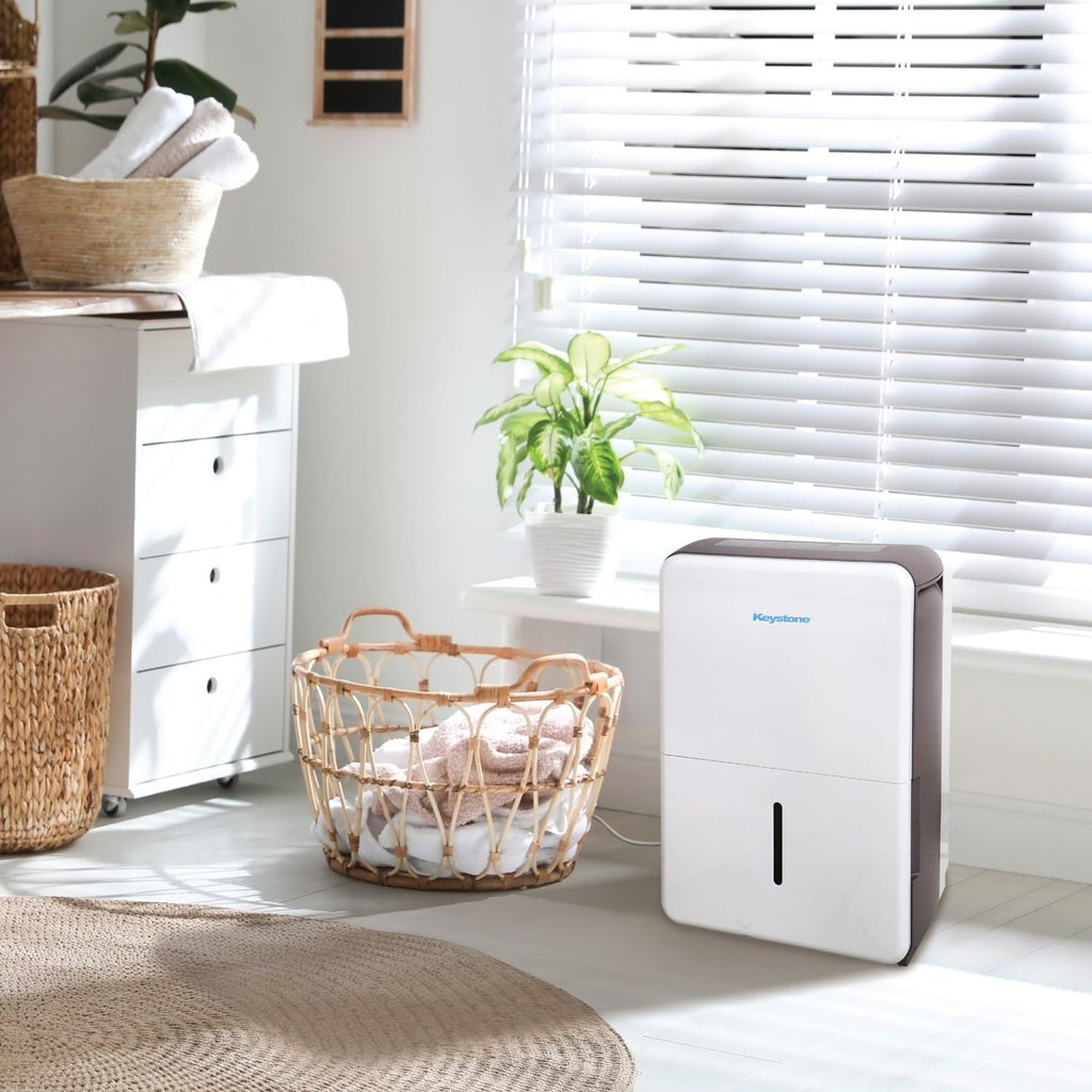 50-Pint Dehumidifier with Built-in Pump Z998