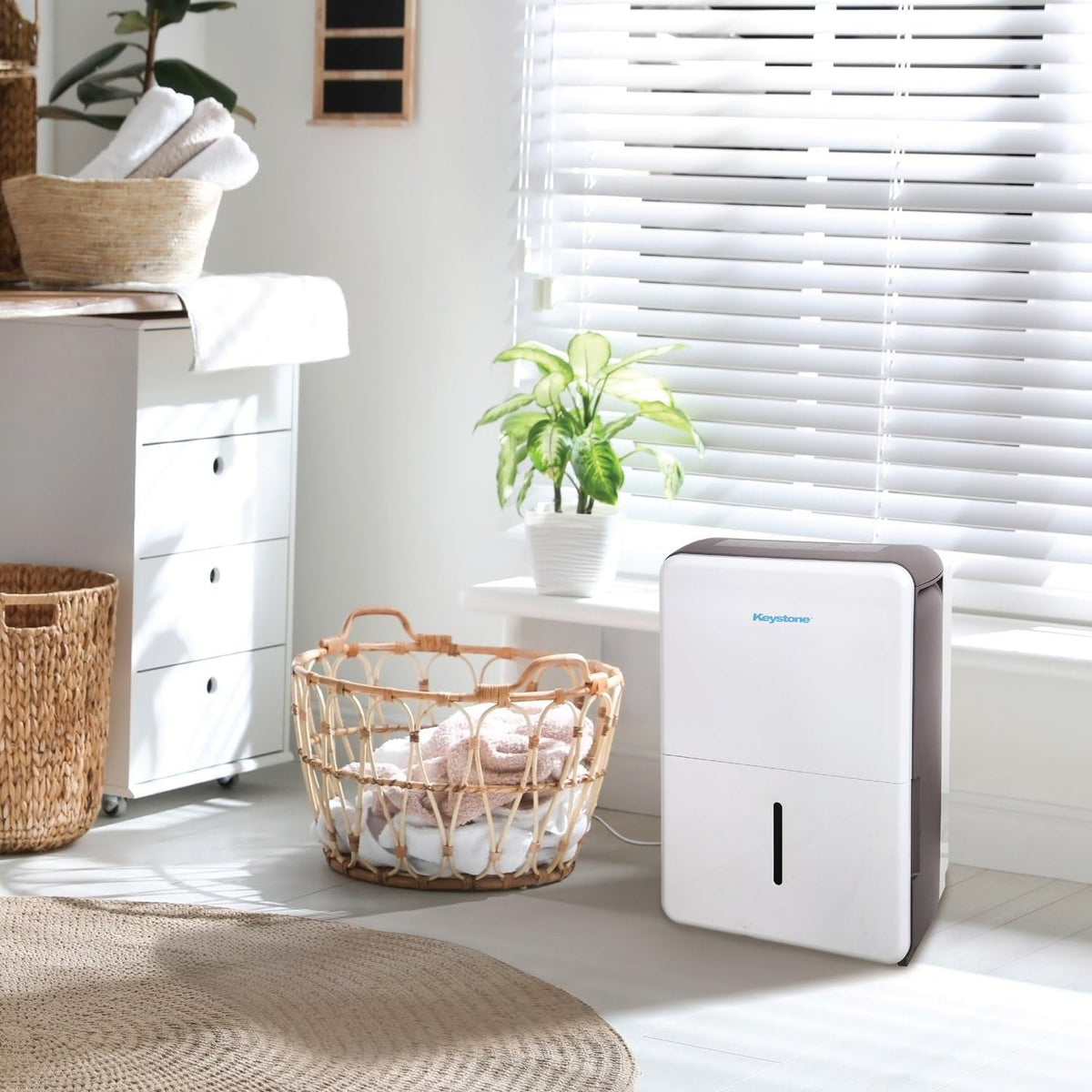 50-Pint Dehumidifier with Built-in Pump Z998