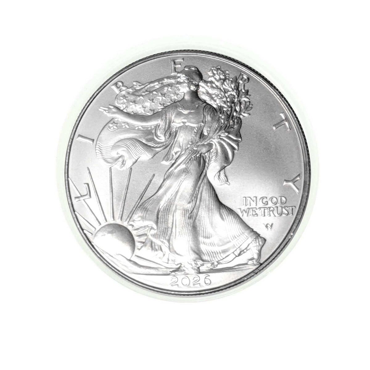 1 oz Silver Eagle Uncirculated D31269