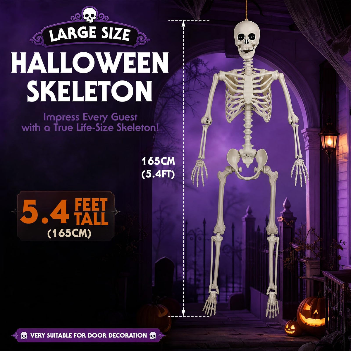 5.4FT Plastic Full Body Skeleton with Movable Joints G2627