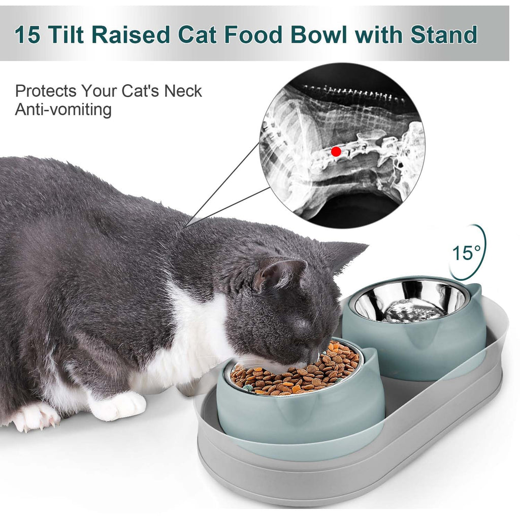 Tilted Stainless Steel Cat Food and Water Bowl Set F21432