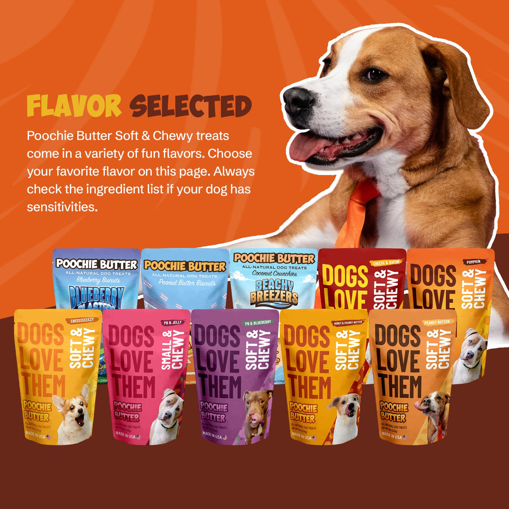 Soft & Chewy Pumpkin Dog Treats 8oz 2 Pack V364