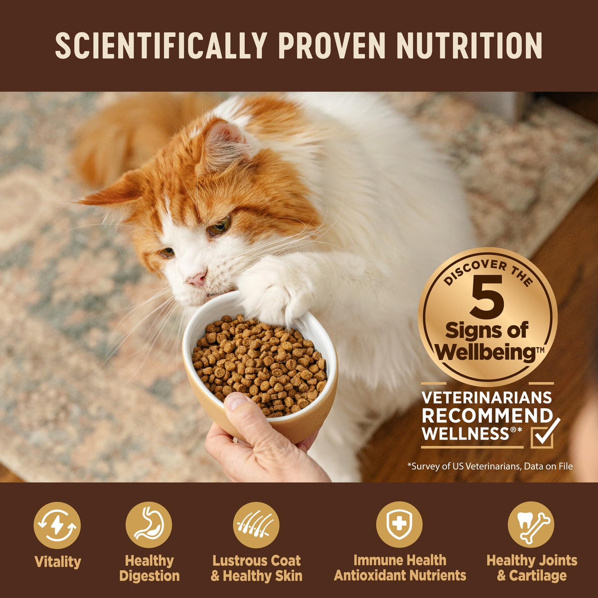 Grain Free Turkey and Chicken Dry Cat Food D354193