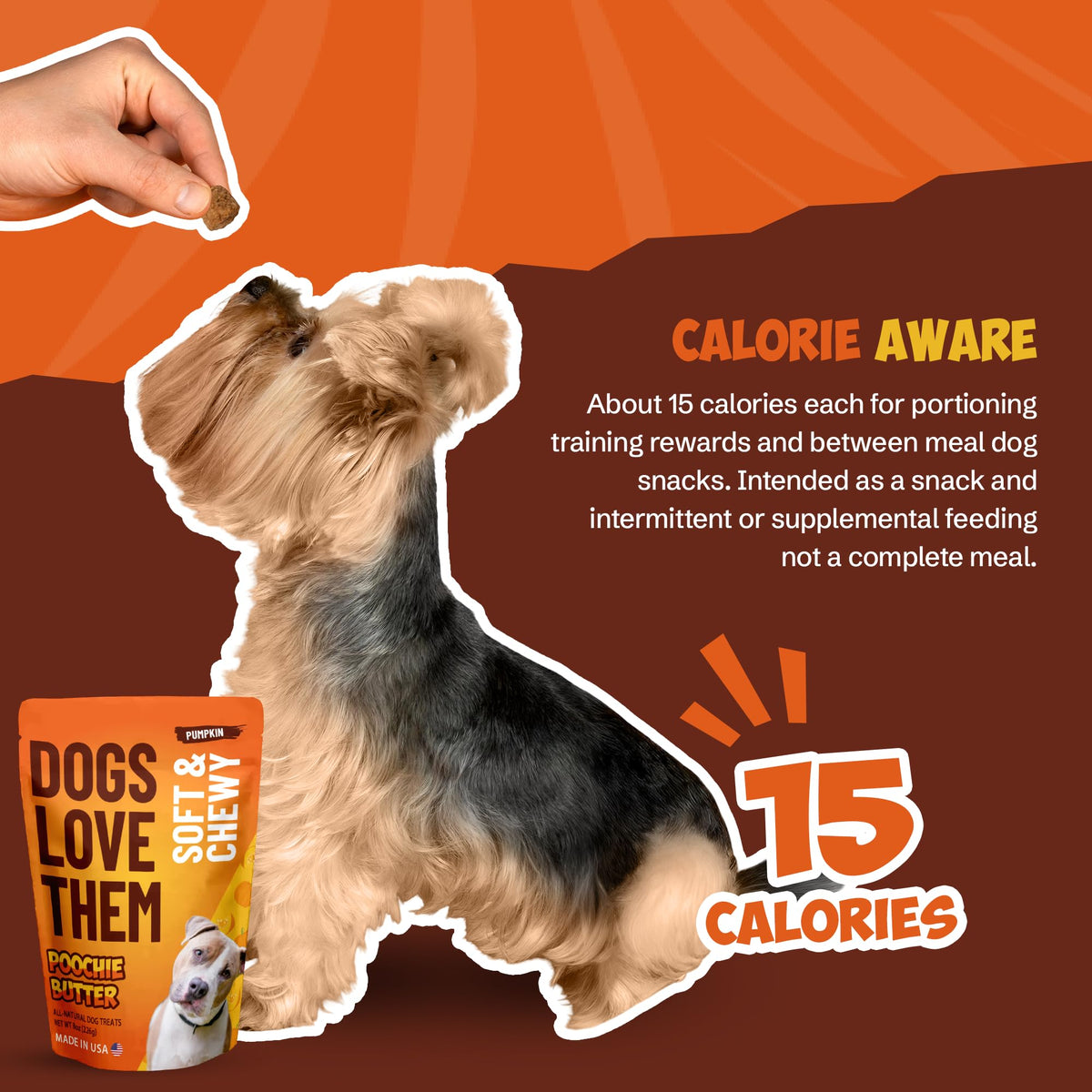 Soft & Chewy Pumpkin Dog Treats 8oz 2 Pack V364