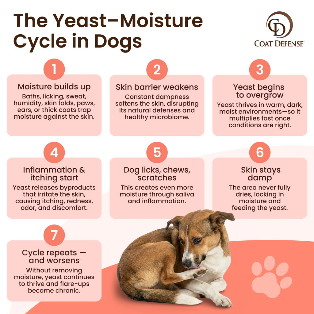 Daily Preventative Powder & Shampoo for Dogs E369975