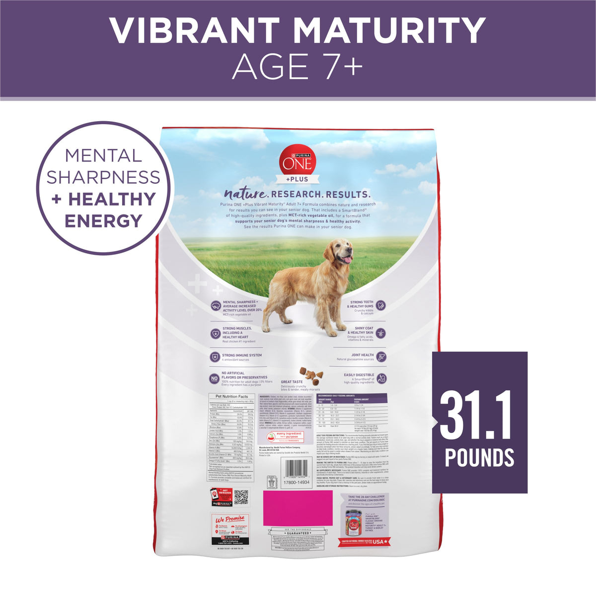 Senior Dry Dog Food 31.1 lb Bag R3715