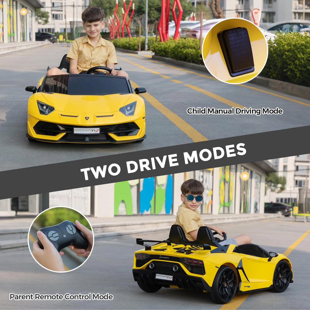 2-Seater Kids Ride on Car, 24V Electric Vehicle, Yellow D367