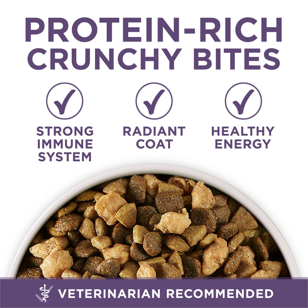 Senior Dry Dog Food 31.1 lb Bag R3715