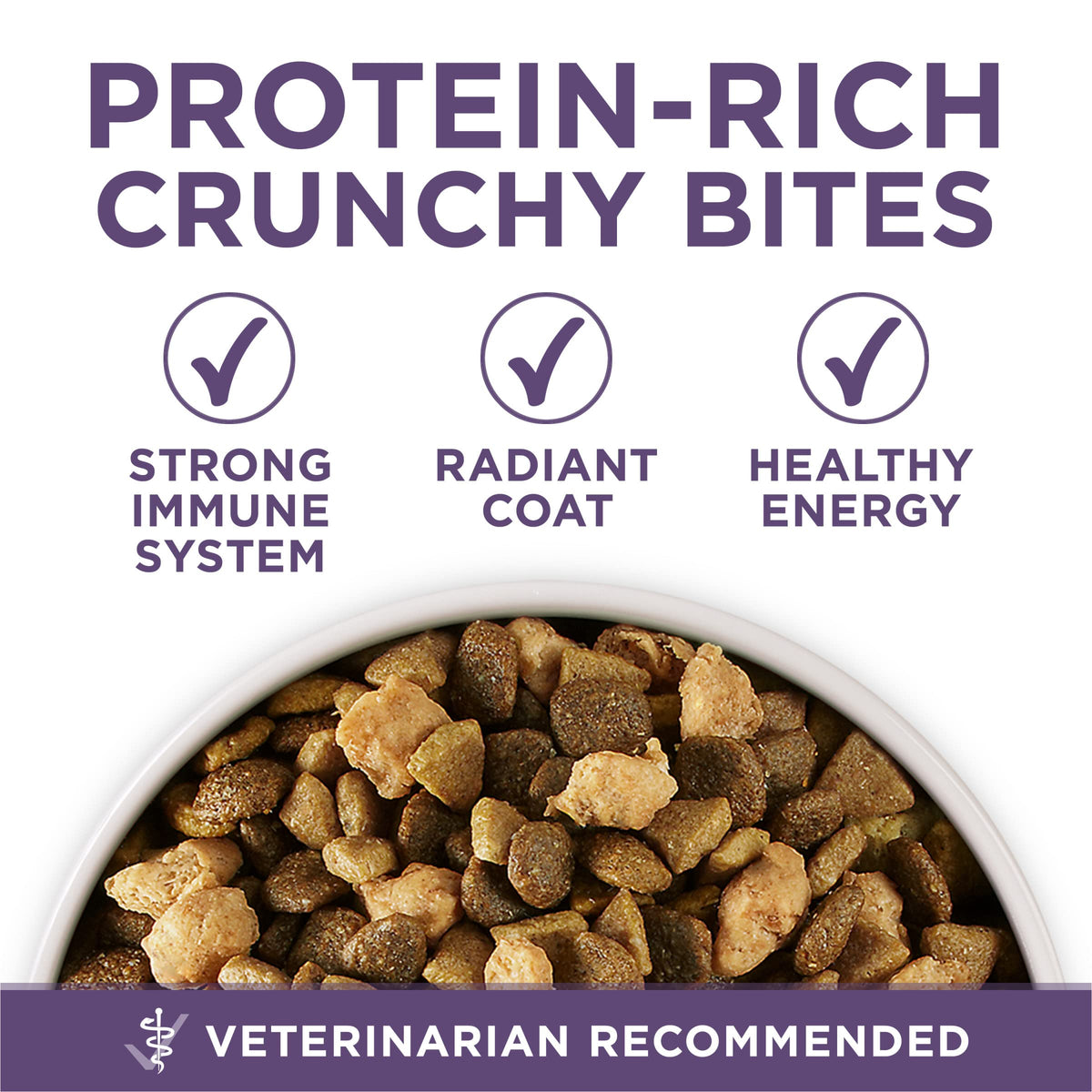 Senior Dry Dog Food 31.1 lb Bag R3715