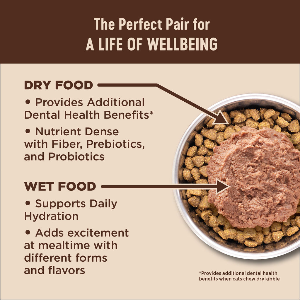 Grain Free Turkey and Chicken Dry Cat Food D354193
