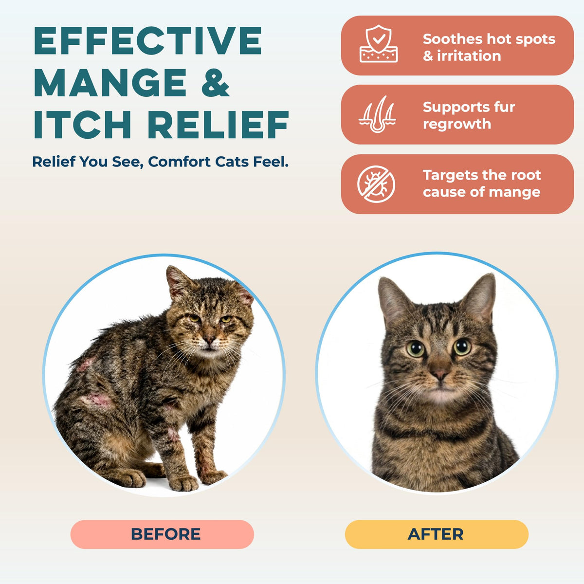 Mange Support for Cats 400 Pills F94032