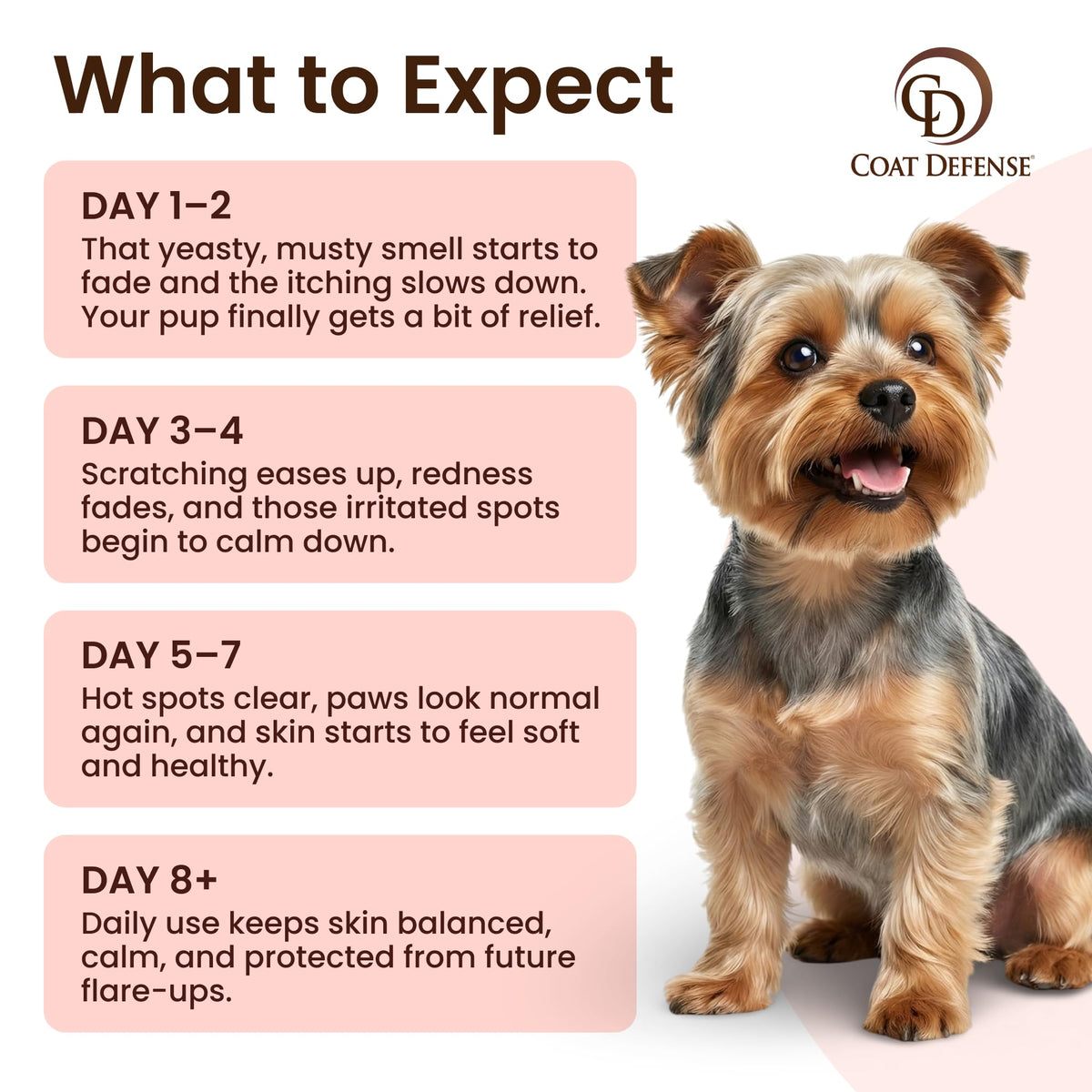 Daily Preventative Powder & Shampoo for Dogs E369975