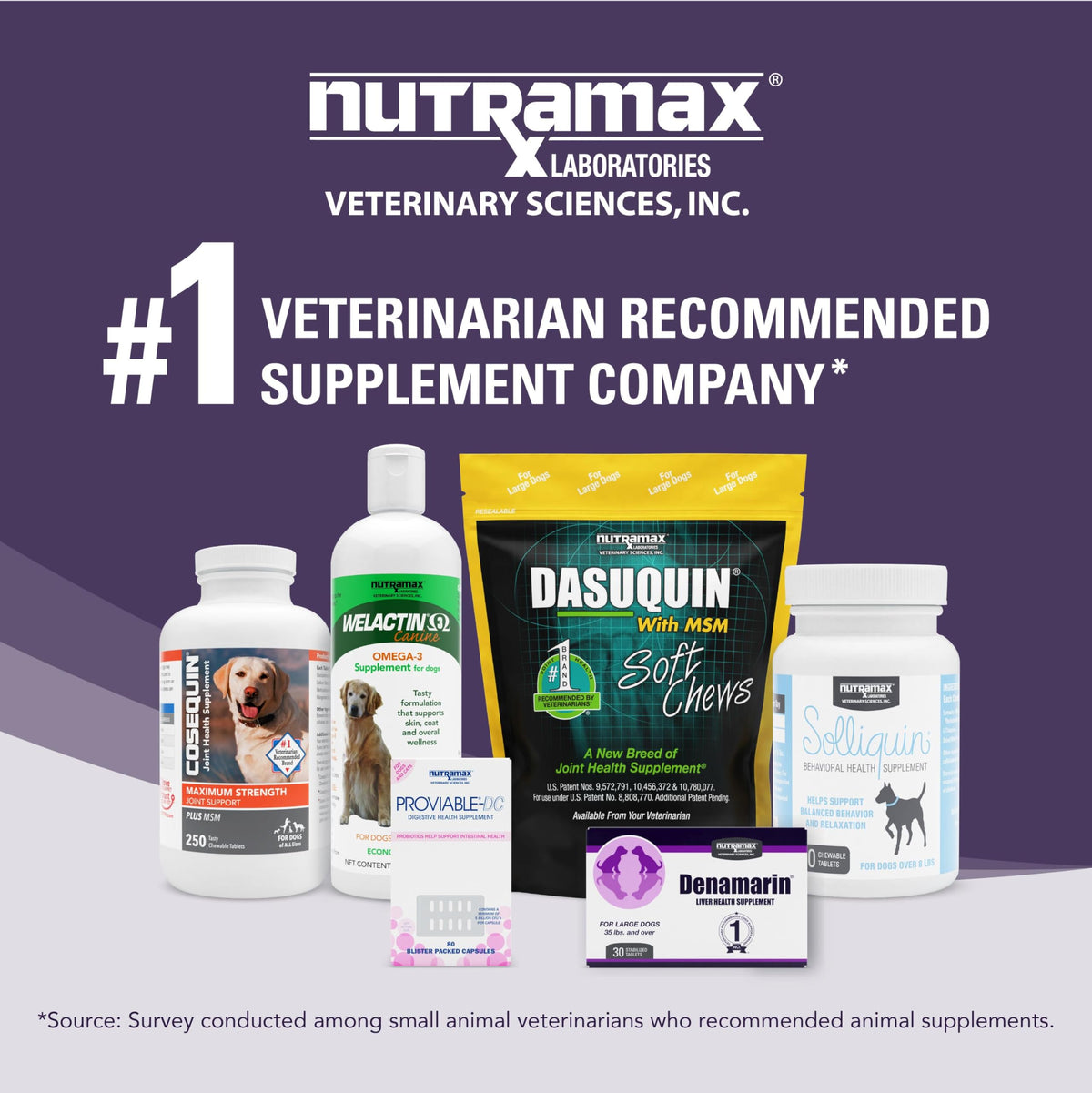 Liver Supplement for Medium Dogs, 30ct Tablets D55361