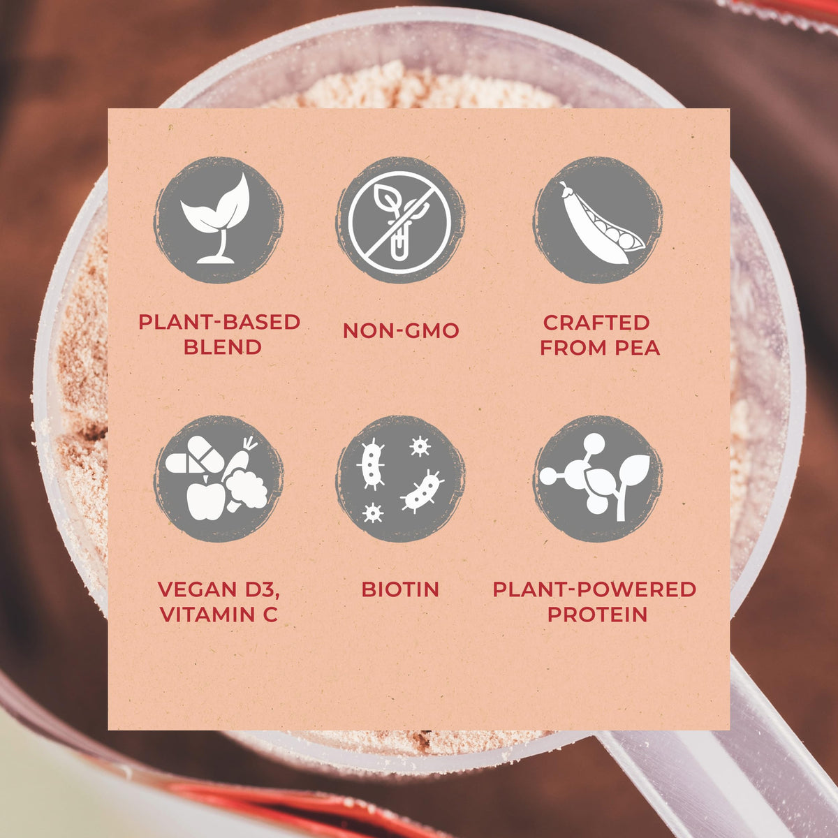 Vegan Protein Powder Vanilla K636