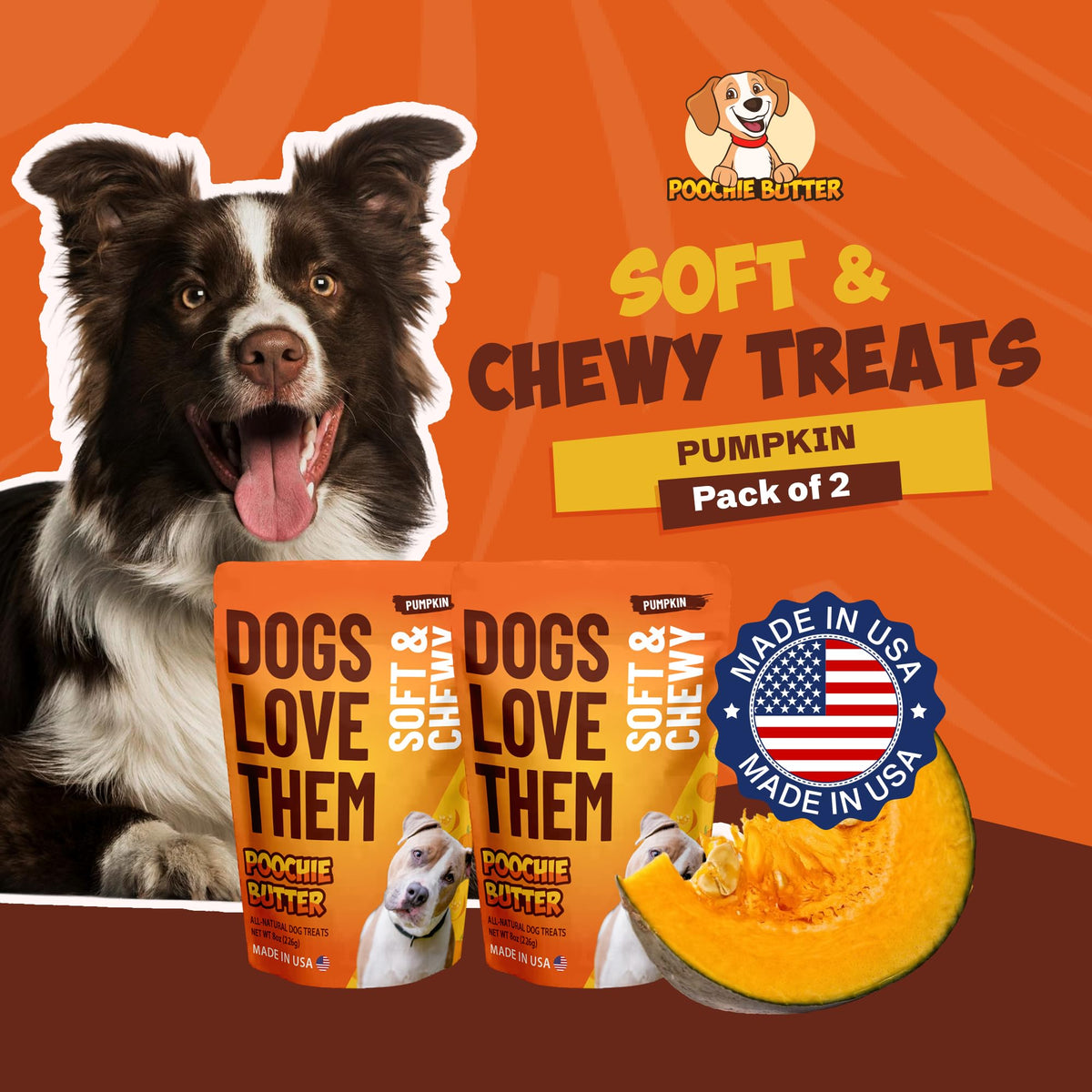 Soft & Chewy Pumpkin Dog Treats 8oz 2 Pack V364