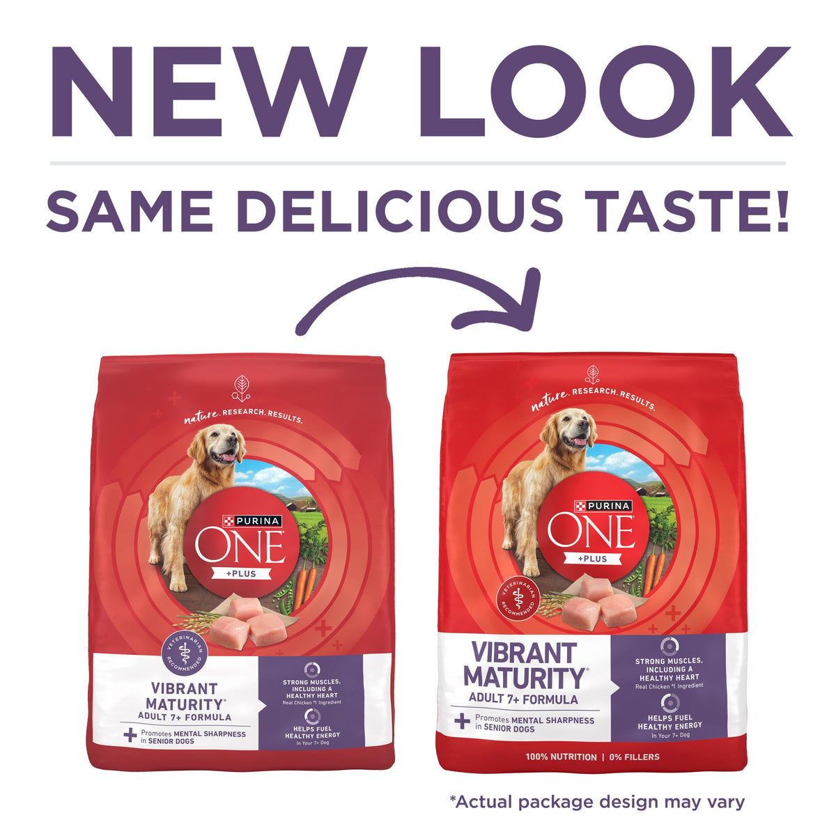 Senior Dry Dog Food 31.1 lb Bag R3715