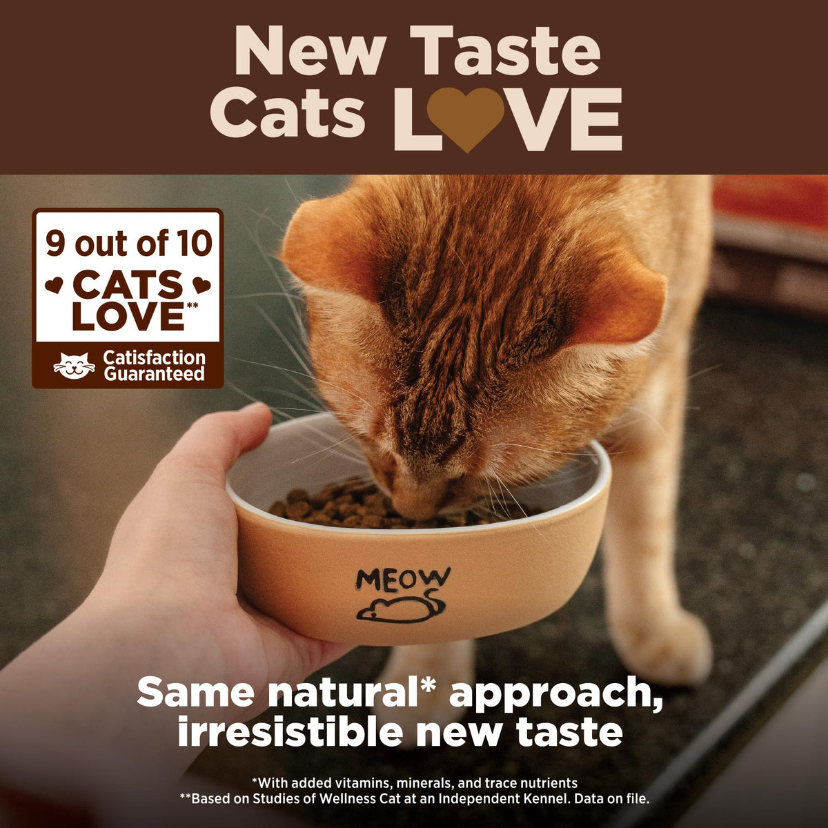 Grain Free Turkey and Chicken Dry Cat Food D354193