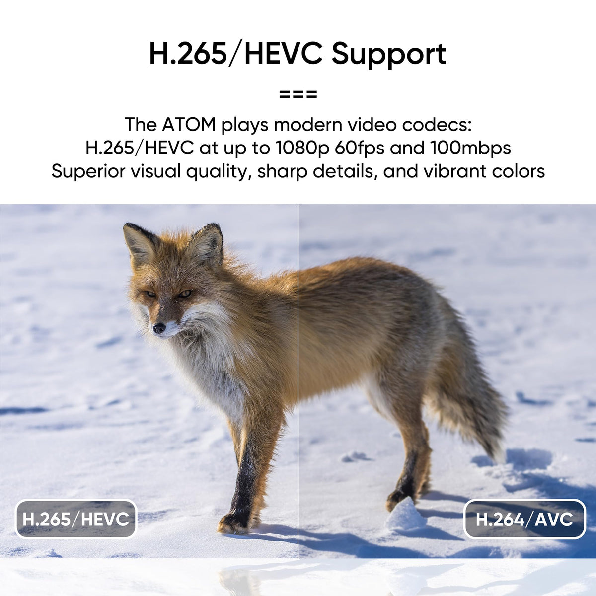 1080P Full-HD Digital Media Player H33345