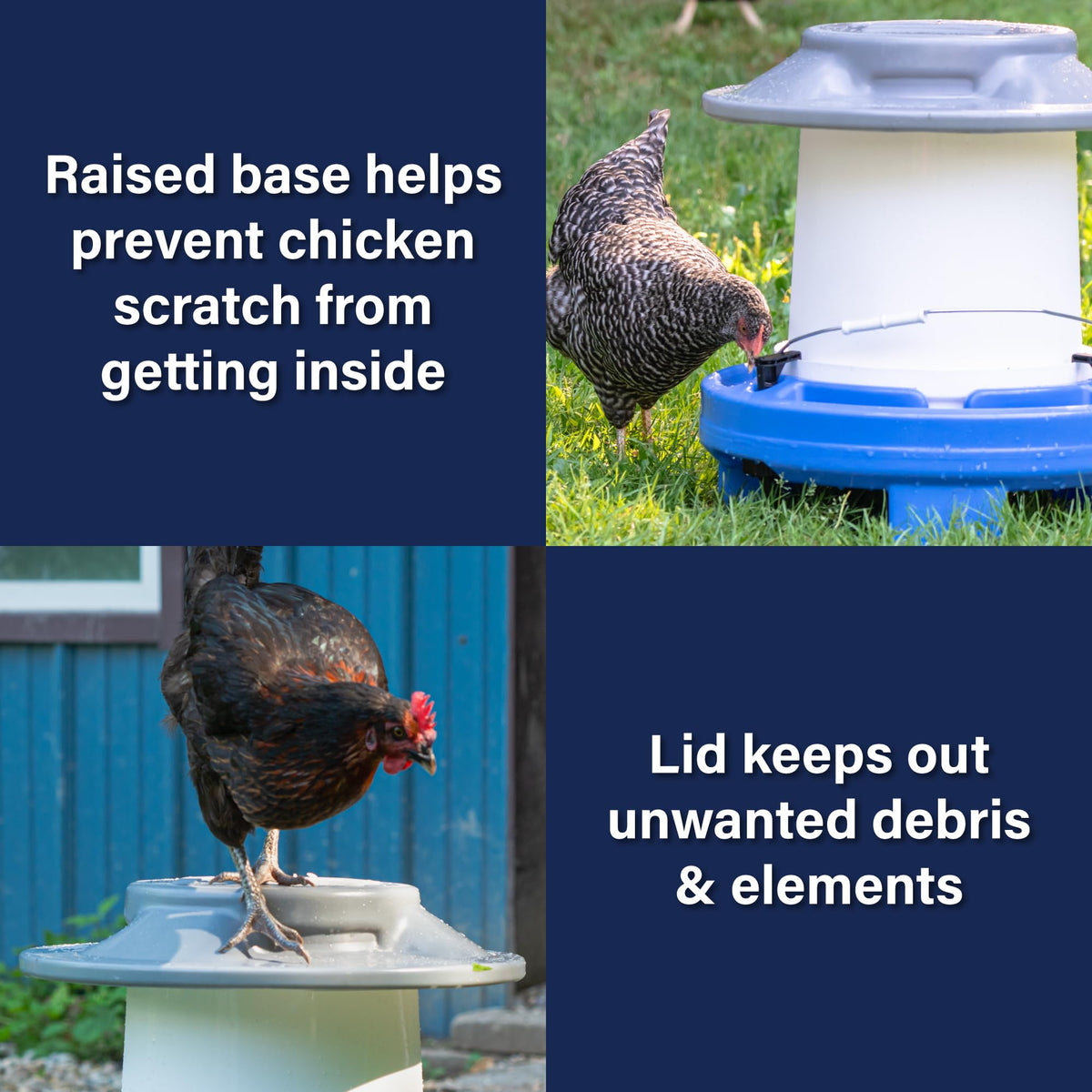 5 Gallon Chicken Waterer T5736