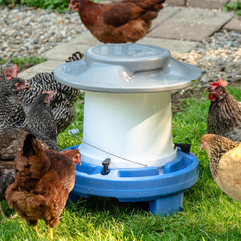 5 Gallon Chicken Waterer T5736