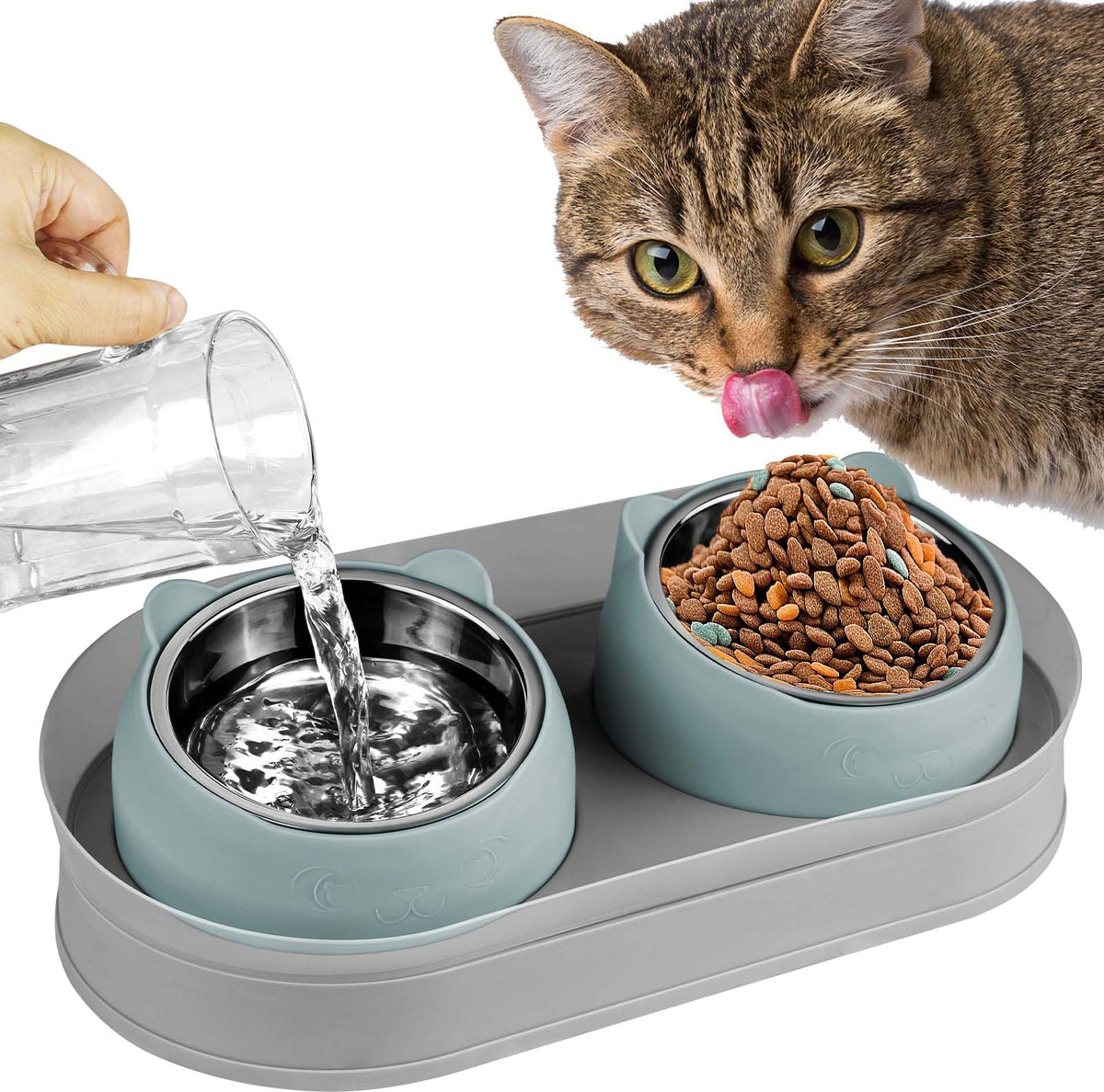 Tilted Stainless Steel Cat Food and Water Bowl Set F21432