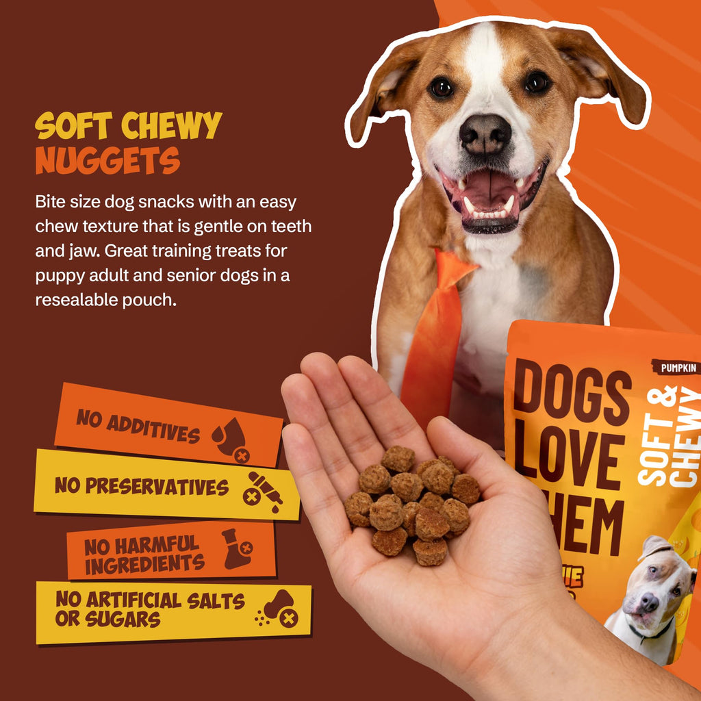 Soft & Chewy Pumpkin Dog Treats 8oz 2 Pack V364