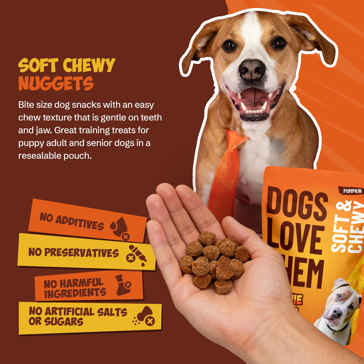 Soft & Chewy Pumpkin Dog Treats 8oz 2 Pack V364
