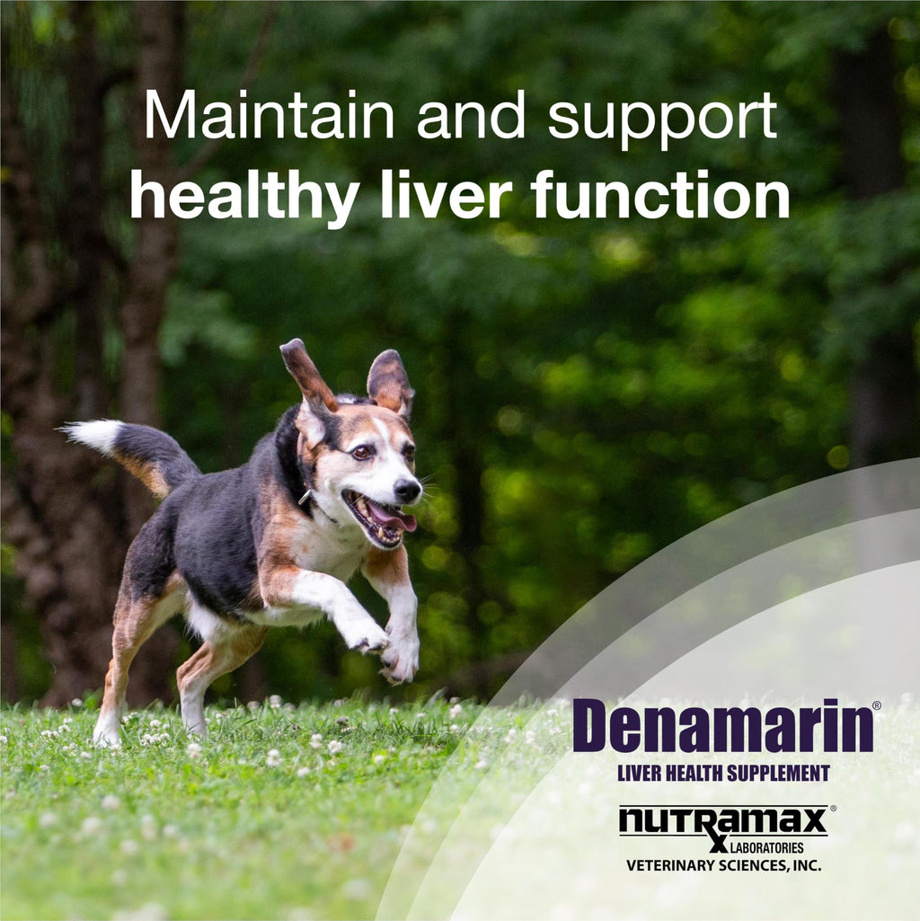 Liver Supplement for Medium Dogs, 30ct Tablets D55361